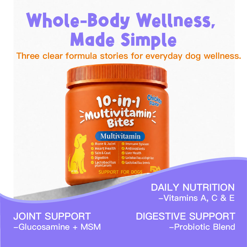 10-in-1 Daily Wellness Support Multivitamin DAILY NUTRITION | JOINT SUPPORT | DIGESTIVE BALANCE Chondroitin | CoQ10 | B-Complex Vitamins | Folic Acid 100 Soft Chew For Dogs