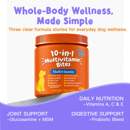 10-in-1 Daily Wellness Support Multivitamin DAILY NUTRITION | JOINT SUPPORT | DIGESTIVE BALANCE Chondroitin | CoQ10 | B-Complex Vitamins | Folic Acid 100 Soft Chew For Dogs