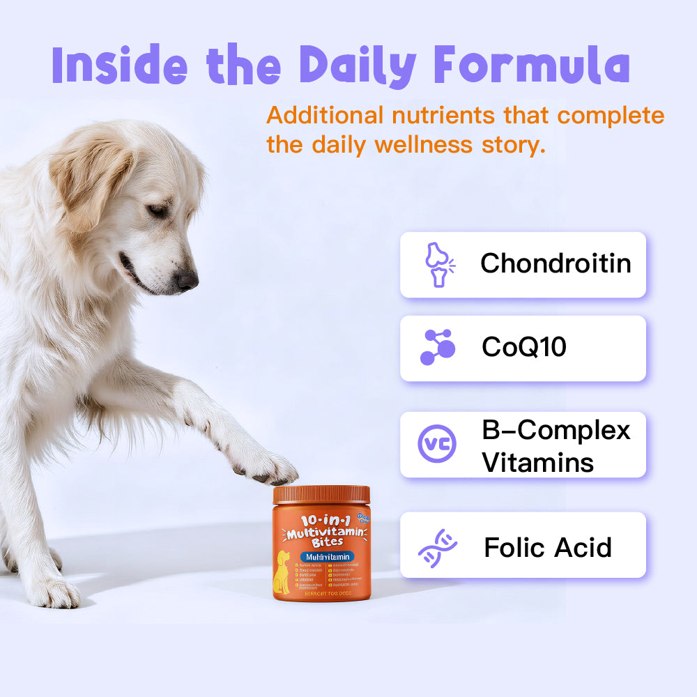 10-in-1 Daily Wellness Support Multivitamin DAILY NUTRITION | JOINT SUPPORT | DIGESTIVE BALANCE Chondroitin | CoQ10 | B-Complex Vitamins | Folic Acid 100 Soft Chew For Dogs