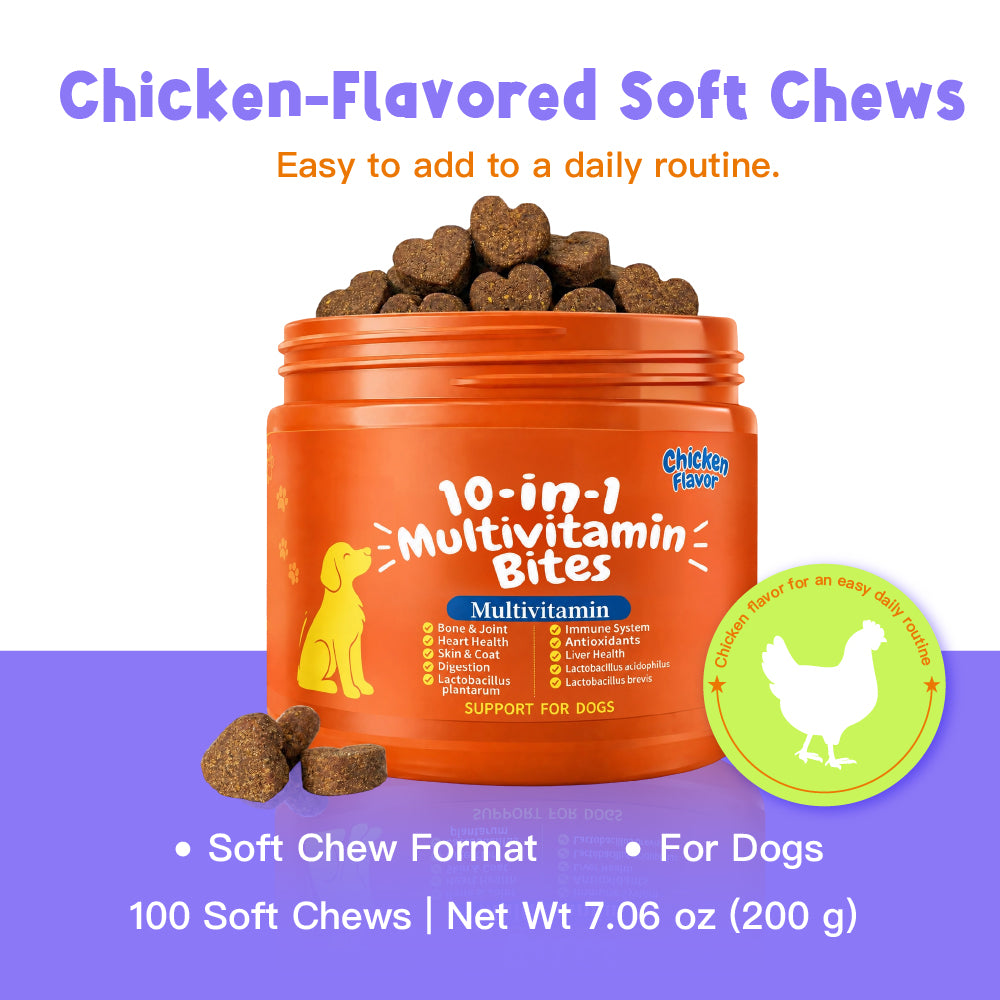 10-in-1 Daily Wellness Support Multivitamin DAILY NUTRITION | JOINT SUPPORT | DIGESTIVE BALANCE Chondroitin | CoQ10 | B-Complex Vitamins | Folic Acid 100 Soft Chew For Dogs
