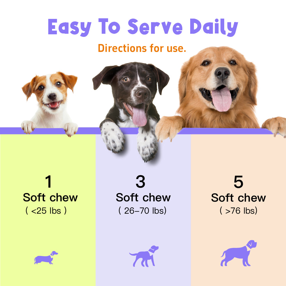 10-in-1 Daily Wellness Support Multivitamin DAILY NUTRITION | JOINT SUPPORT | DIGESTIVE BALANCE Chondroitin | CoQ10 | B-Complex Vitamins | Folic Acid 100 Soft Chew For Dogs