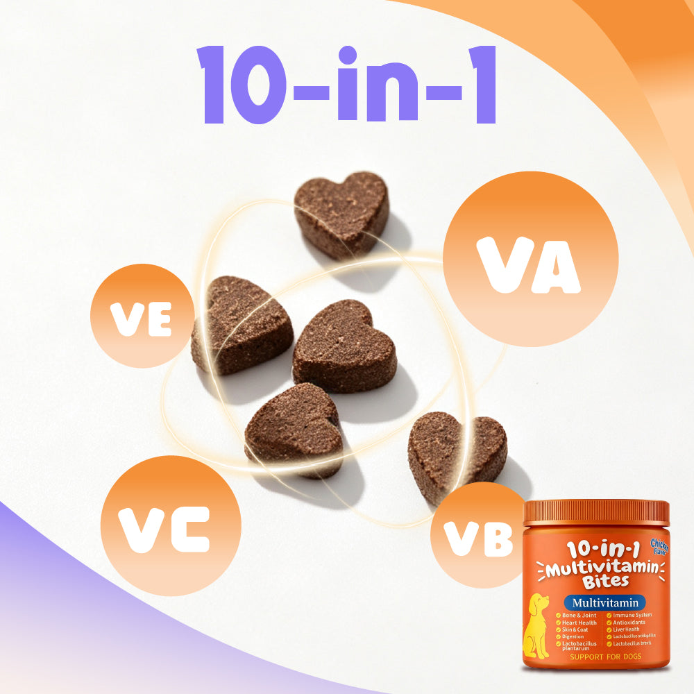 10-in-1 Daily Wellness Support Multivitamin DAILY NUTRITION | JOINT SUPPORT | DIGESTIVE BALANCE Chondroitin | CoQ10 | B-Complex Vitamins | Folic Acid 100 Soft Chew For Dogs