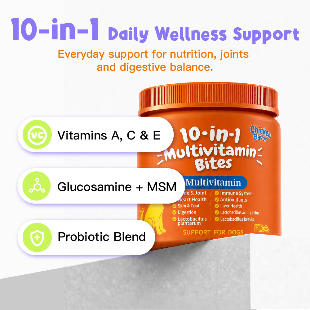 10-in-1 Daily Wellness Support Multivitamin DAILY NUTRITION | JOINT SUPPORT | DIGESTIVE BALANCE Chondroitin | CoQ10 | B-Complex Vitamins | Folic Acid 100 Soft Chew For Dogs