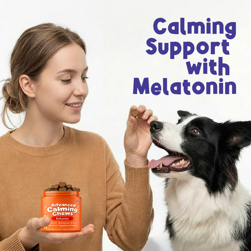 Calming Support Supports calm behavior during occasional everyday stress. Travel | Visitors | Changes in Routine 100 Soft Chews For Dogs