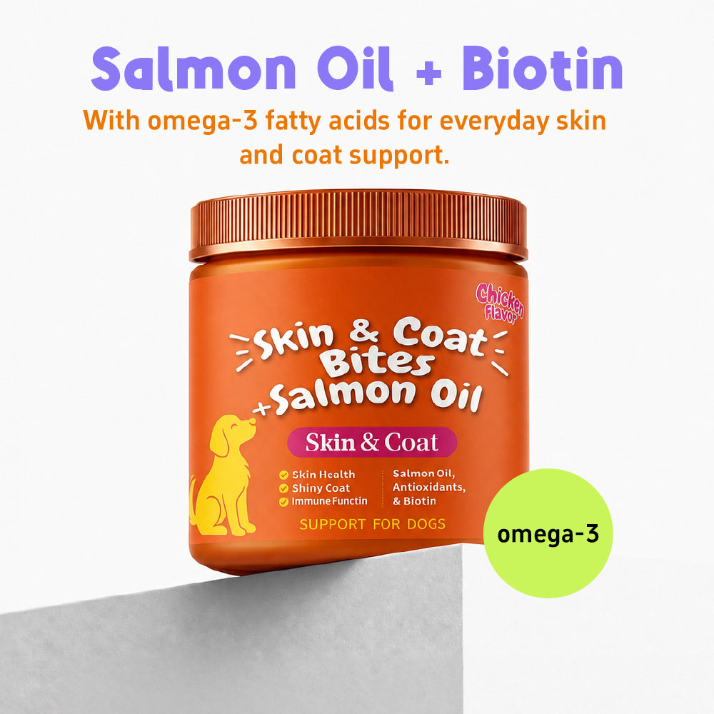 Skin And Coat Soft Chews with Salmon Oil, Omega-3, And Biotin Chicken Flavor for Dogs, 100 Chews Support for Skin And Immunity