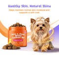 Skin And Coat Soft Chews with Salmon Oil, Omega-3, And Biotin Chicken Flavor for Dogs, 100 Chews Support for Skin And Immunity