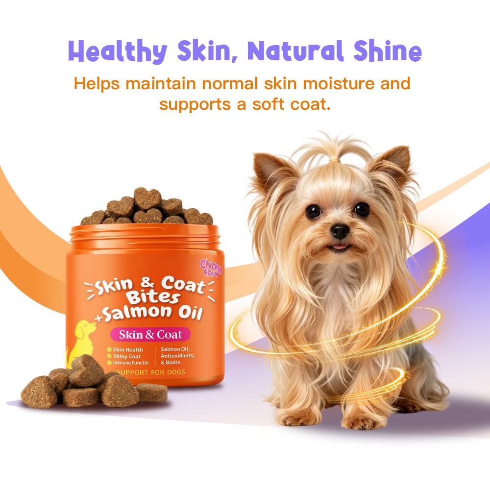 Skin And Coat Soft Chews with Salmon Oil, Omega-3, And Biotin Chicken Flavor for Dogs, 100 Chews Support for Skin And Immunity