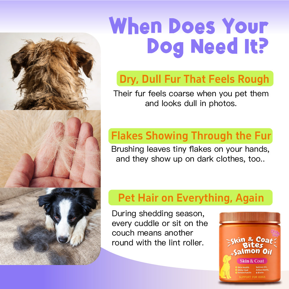Skin And Coat Soft Chews with Salmon Oil, Omega-3, And Biotin Chicken Flavor for Dogs, 100 Chews Support for Skin And Immunity