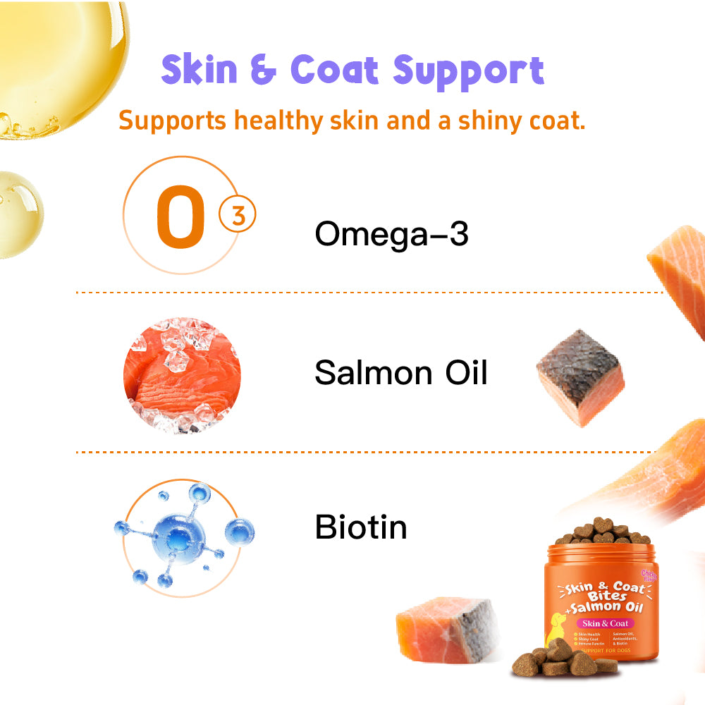 Skin And Coat Soft Chews with Salmon Oil, Omega-3, And Biotin Chicken Flavor for Dogs, 100 Chews Support for Skin And Immunity
