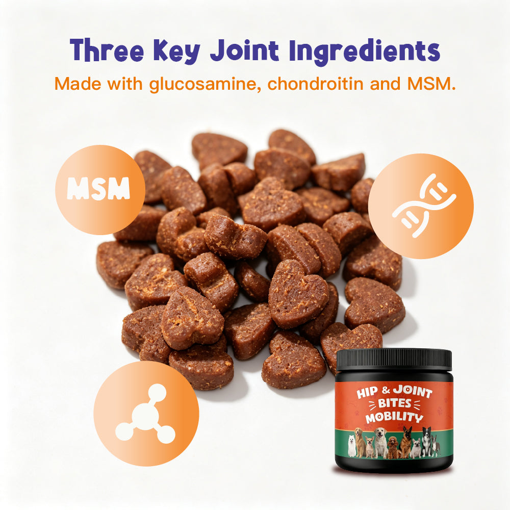 Hip & Joint Supports joint health and everyday mobility. Glucosamine | Chondroitin | MSM 100 Soft Chews For Dogs