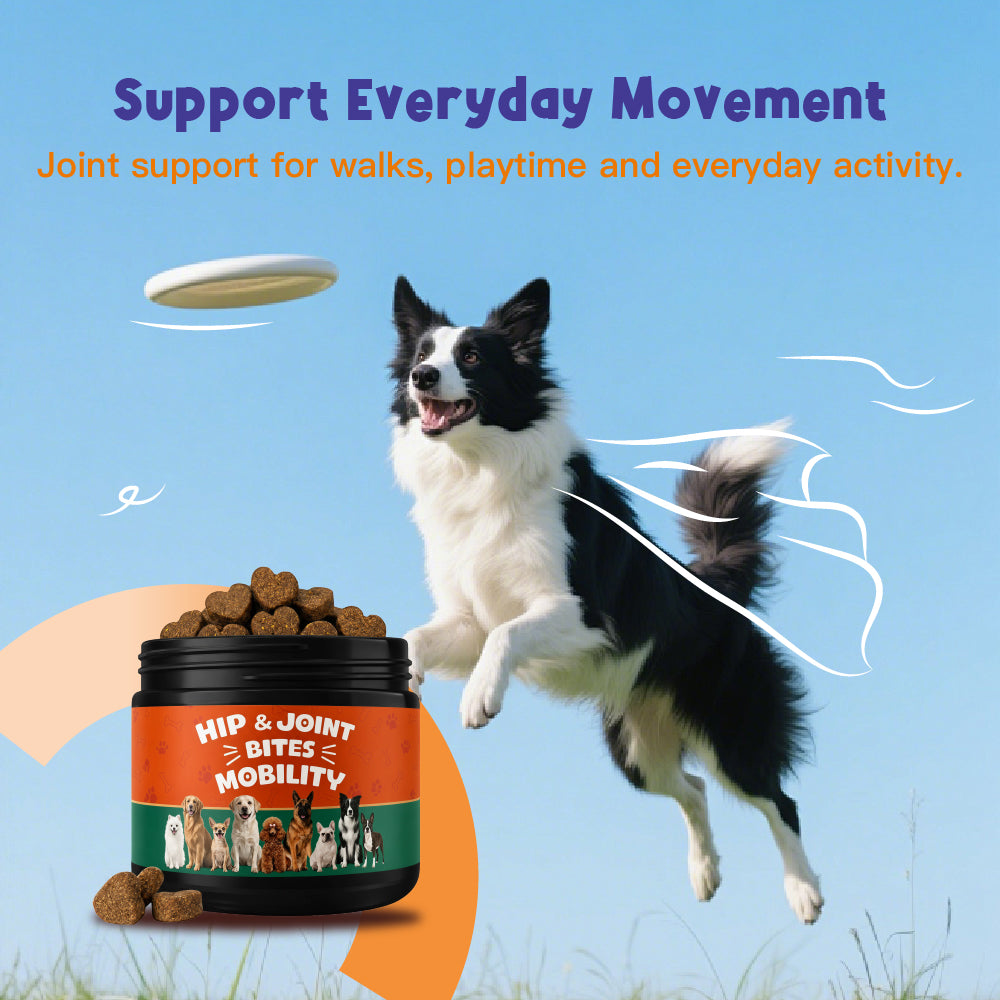 Hip & Joint Supports joint health and everyday mobility. Glucosamine | Chondroitin | MSM 100 Soft Chews For Dogs