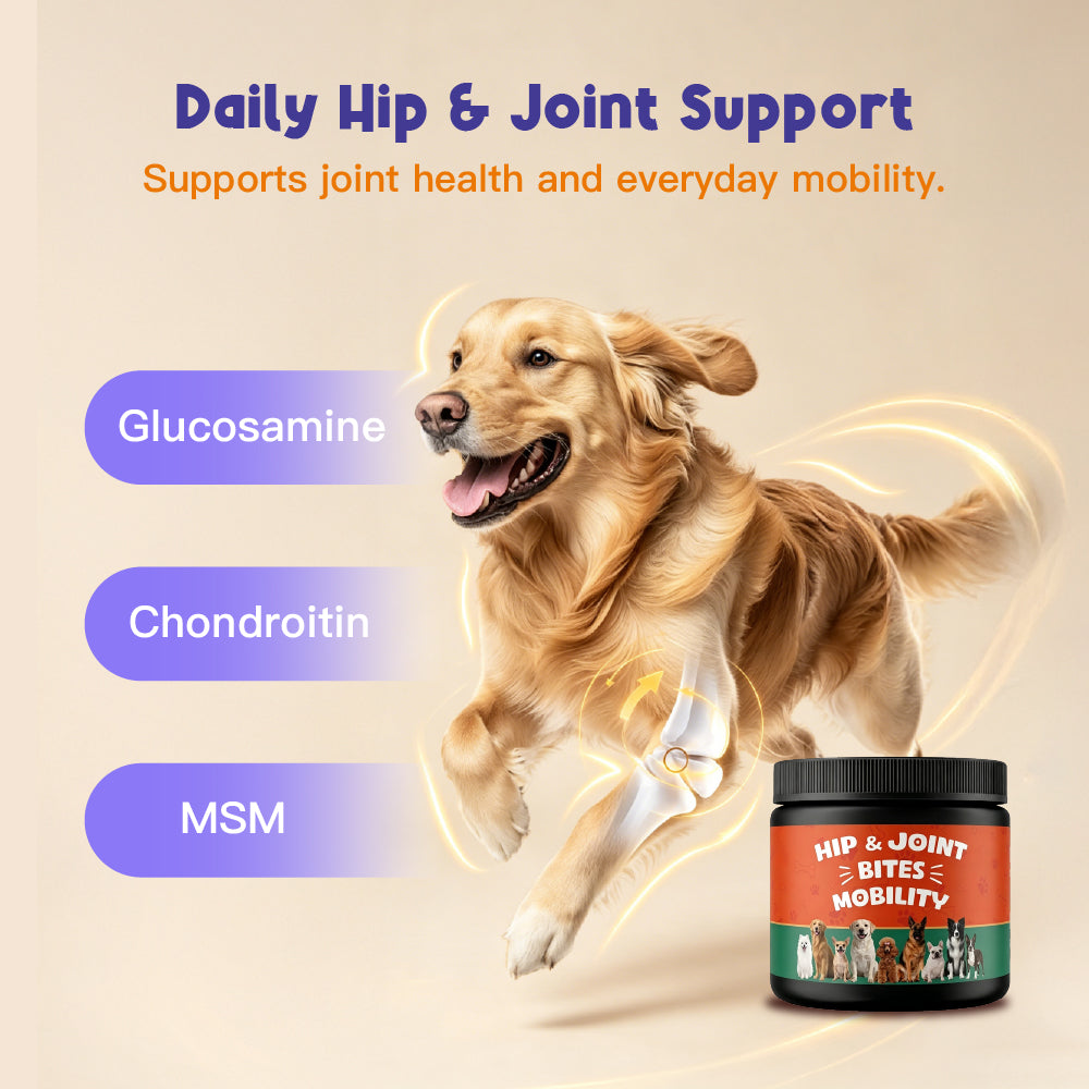 Hip & Joint Supports joint health and everyday mobility. Glucosamine | Chondroitin | MSM 100 Soft Chews For Dogs