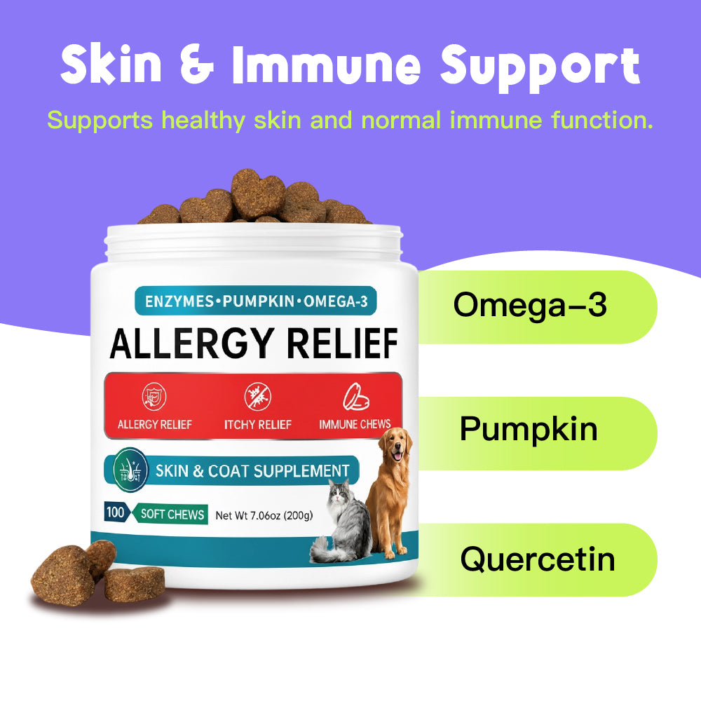 Skin & Immune Support ALLERGY RELIEF 100 Soft Chews for Dogs Helps Maintain Normal Skin Moisture for Dogs Over 12 Weeks Of Age Pumpkin, Quercetin, Turmeric Root, Grape Seed Extract And Bromelain