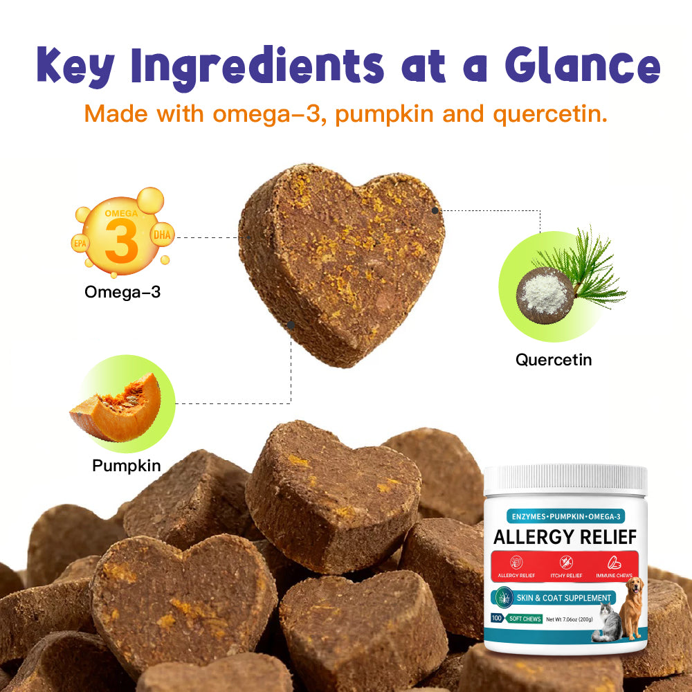 Skin & Immune Support ALLERGY RELIEF 100 Soft Chews for Dogs Helps Maintain Normal Skin Moisture for Dogs Over 12 Weeks Of Age Pumpkin, Quercetin, Turmeric Root, Grape Seed Extract And Bromelain