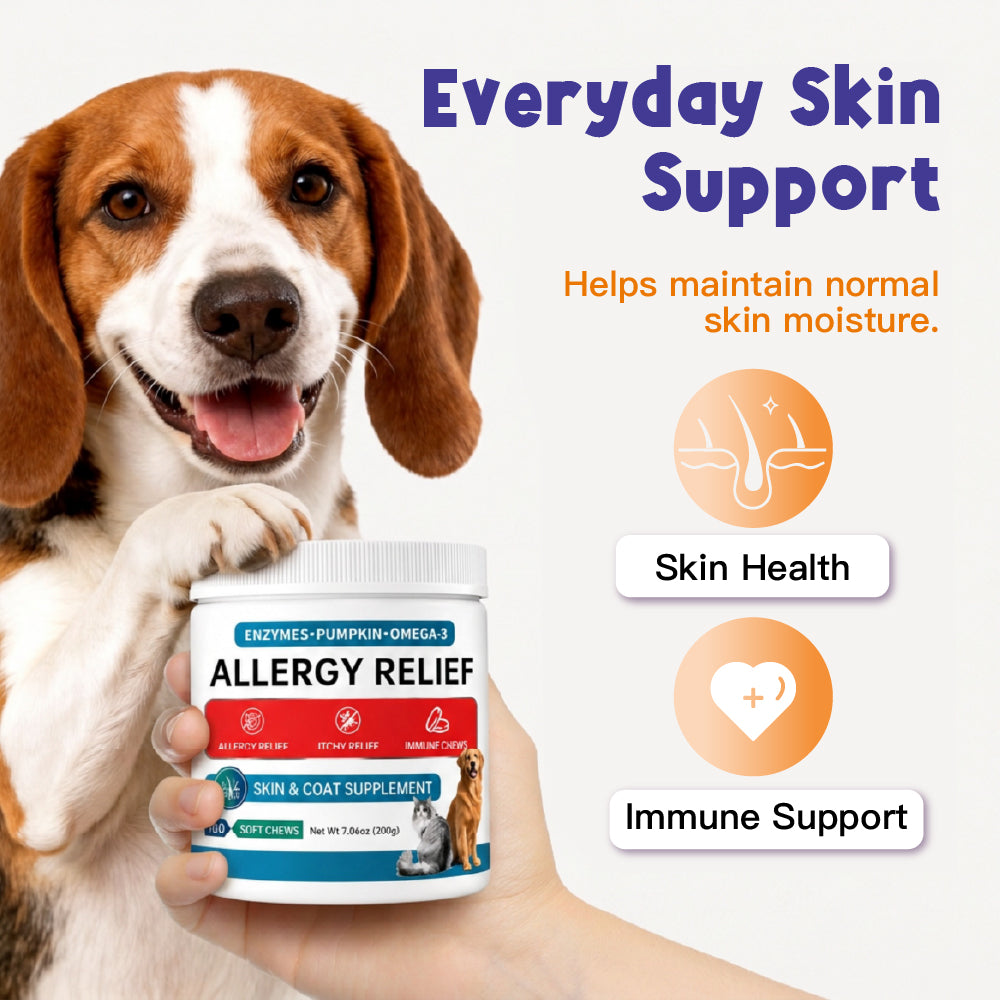 Skin & Immune Support ALLERGY RELIEF 100 Soft Chews for Dogs Helps Maintain Normal Skin Moisture for Dogs Over 12 Weeks Of Age Pumpkin, Quercetin, Turmeric Root, Grape Seed Extract And Bromelain
