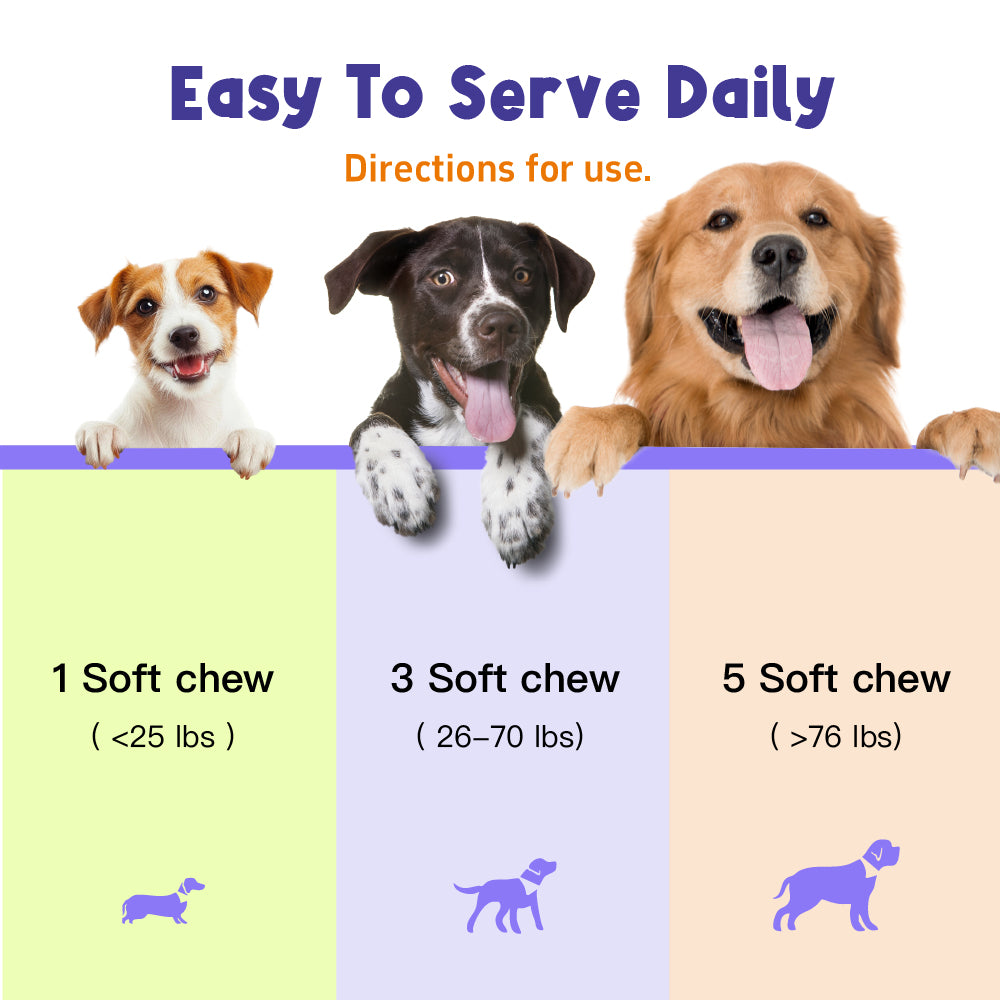 Skin & Immune Support ALLERGY RELIEF 100 Soft Chews for Dogs Helps Maintain Normal Skin Moisture for Dogs Over 12 Weeks Of Age Pumpkin, Quercetin, Turmeric Root, Grape Seed Extract And Bromelain