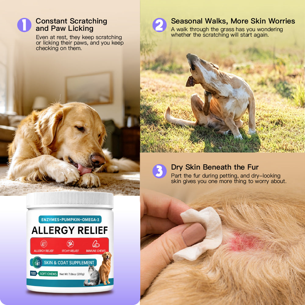 Skin & Immune Support ALLERGY RELIEF 100 Soft Chews for Dogs Helps Maintain Normal Skin Moisture for Dogs Over 12 Weeks Of Age Pumpkin, Quercetin, Turmeric Root, Grape Seed Extract And Bromelain
