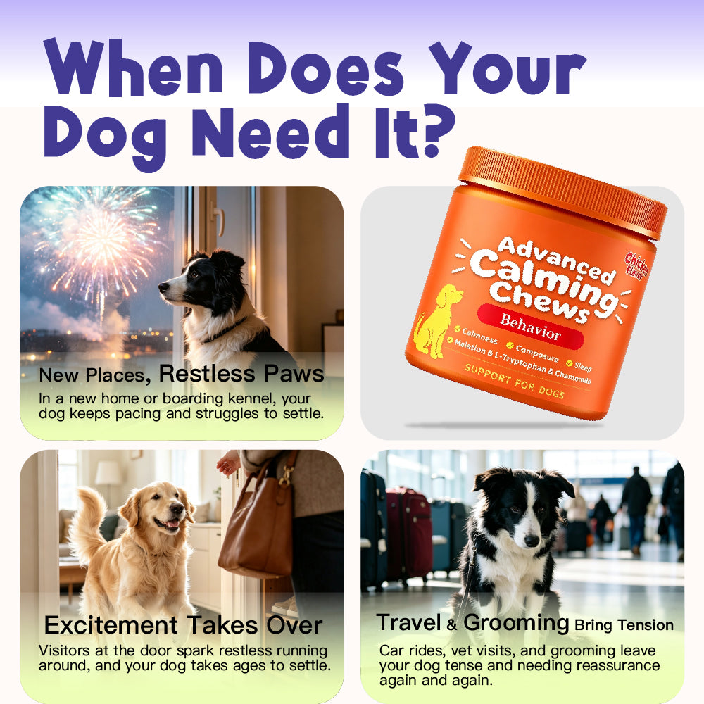 Calming Support Supports calm behavior during occasional everyday stress. Travel | Visitors | Changes in Routine 100 Soft Chews For Dogs